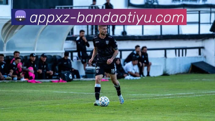 App Interface Preview